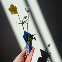 Load image into Gallery viewer, Wild Land Bud Vases SS